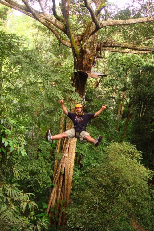 Flight of the Gibbon