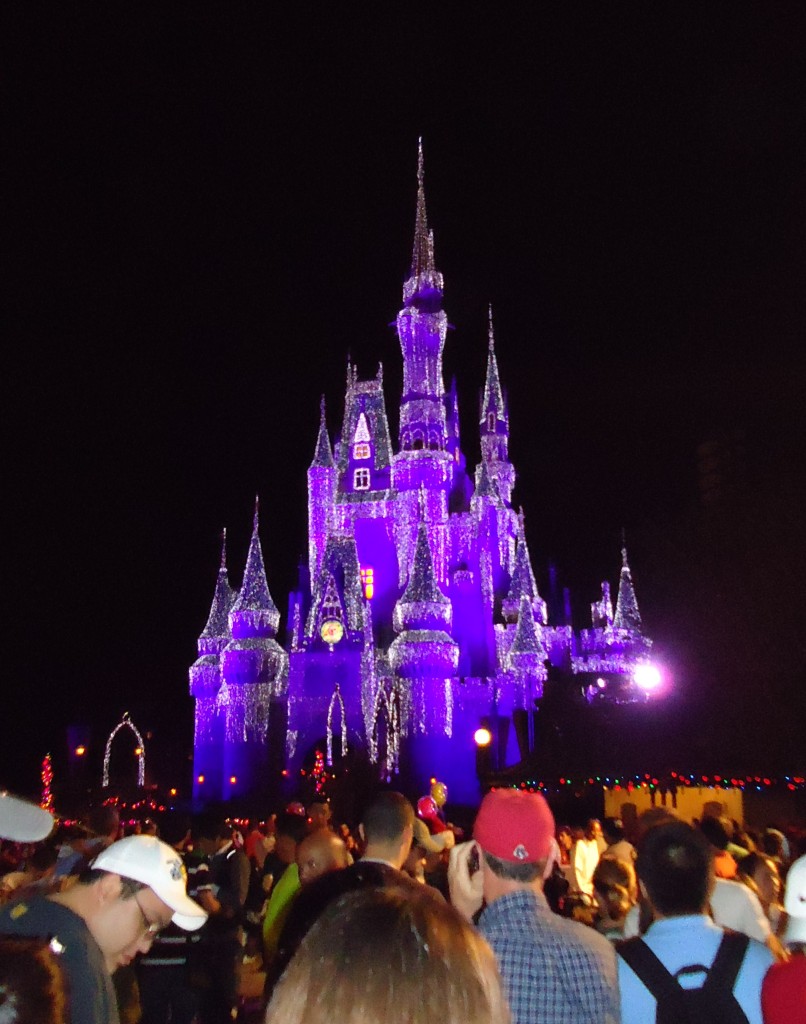 Cinderella's Castle lit for Christmas